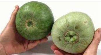 孕早期吃脆瓜,营养美味两不误