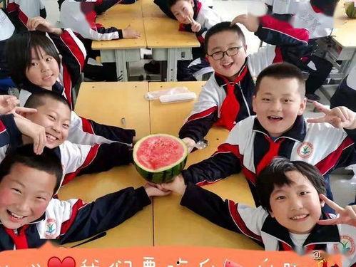 中学老师吃瓜,揭秘中学老师那些不为人知的吃瓜故事