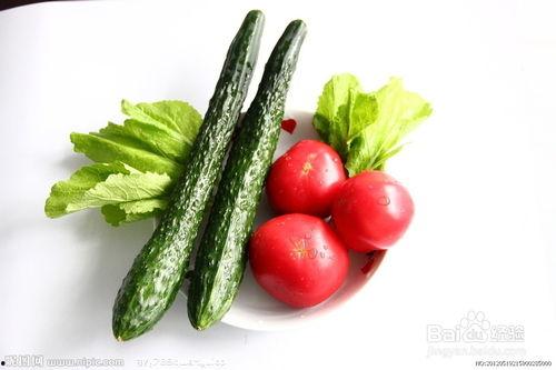 雀喜吃瓜,探寻雀喜吃瓜的奥秘