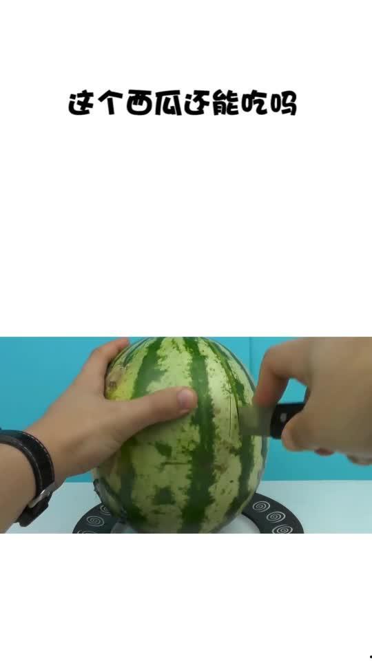 这个瓜还可以吃吗,还能安心食用吗？