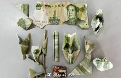 投币吃瓜,揭秘网络时代的趣味互动新潮流