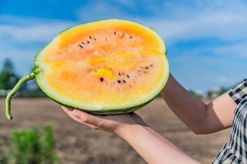 吃瓜小农,揭秘农村生活的酸甜苦辣