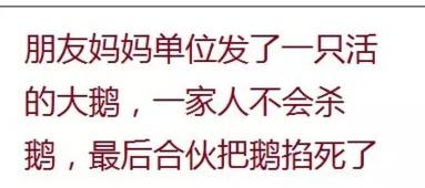 吃瓜误了你哪些事,那些被误读的真相与教训