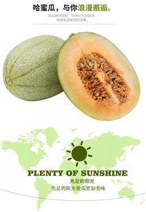 嗯吃哈密瓜吃怎么写,嗯吃体验分享