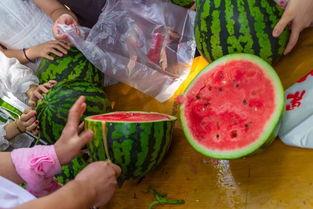 吃瓜视频 扬州,吃瓜视频带你领略瓜果飘香的城市魅力