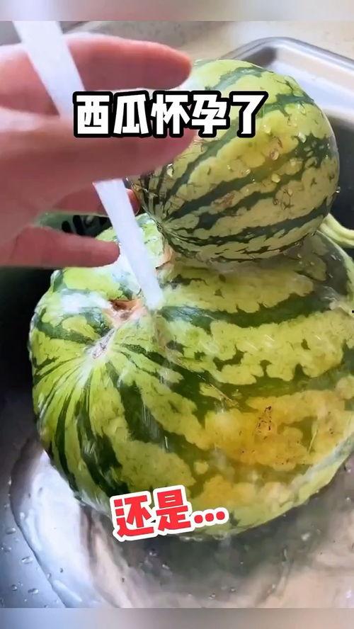 搞怪吃瓜音乐视频大全,音乐视频里的欢乐狂欢大盘点