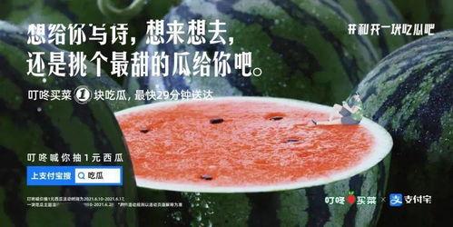 吃瓜吃多的文案,揭秘吃瓜群众的狂欢盛宴