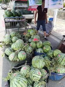 曲阜师范吃瓜事件,揭秘校园网络舆论风波