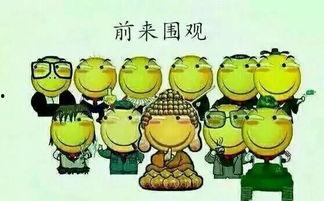 吃瓜群众加仓,市场热度再升温