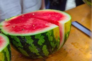 现代学院吃瓜,吃瓜群众眼中的校园风云录