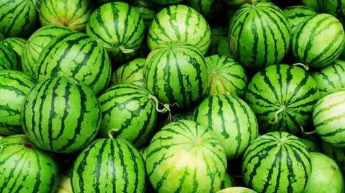 汉职吃瓜,揭秘吃瓜群众的趣味生活