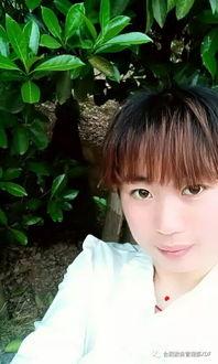 七朵小花吃瓜,七朵小花共赴瓜田盛宴