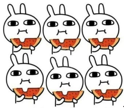 吃瓜怼怼,揭秘娱乐圈背后的真相与笑料