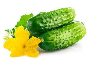 减肥高瓜可以吃吗,高瓜是否适宜食用？揭秘高瓜在减肥饮食中的角色  第3张