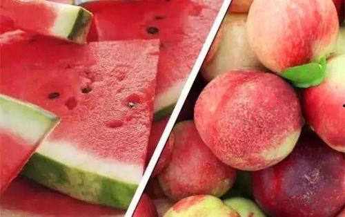 猪瓜不能和什么一起吃,揭秘不宜同食的食物禁忌