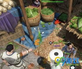 醉太平吃瓜,揭秘吃瓜群众的狂欢盛宴