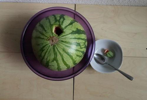 醉太平吃瓜,揭秘吃瓜群众的狂欢盛宴