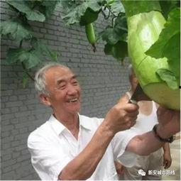 吃瓜砍人,揭秘娱乐圈背后的真实故事