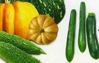 躺平吃瓜图片,揭秘当代年轻人的生活态度